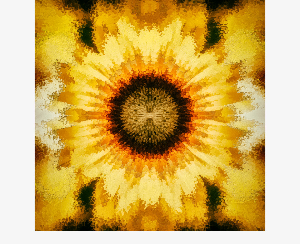 Solstice Sunflower